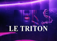 Le Triton à Narbonne : un partenaire Sexylib